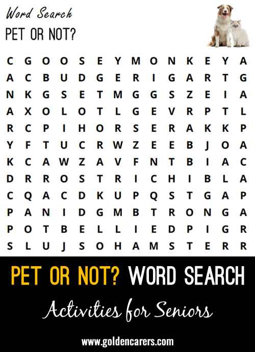 Pet or Not? Word Search