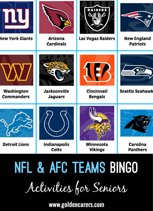 NFL & AFC Teams Bingo