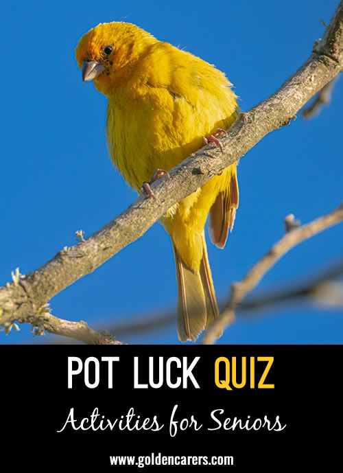 Pot Luck Quiz 77