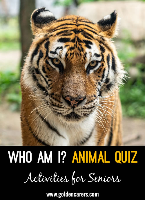 Who Am I in the Animal World?