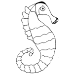 Seahorse