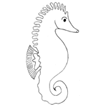 Seahorse 2