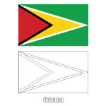 Flag of Guyana