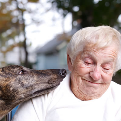 Pet Therapy Image