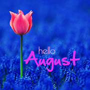 * August Resources & Templates * Image