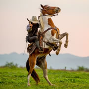 Cowboy Day Image