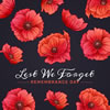 Remembrance Day Ceremony Guide