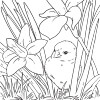 Coloring for Seniors - Chick In Grass